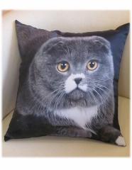 Подушка с фотопечатью Вислоухий кот