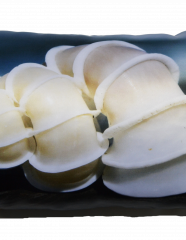 Подушка с фотопечатью Ракушка белая
